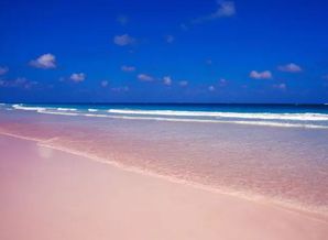 哈勃岛的粉色海滩被《新闻周刊》评选为世界上最性感的海滩 哈勃岛粉色沙滩