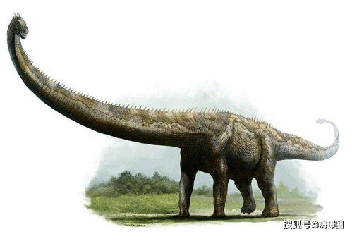 盘点世界上体型最大的十大恐龙,每一种都比七层楼房还要高大