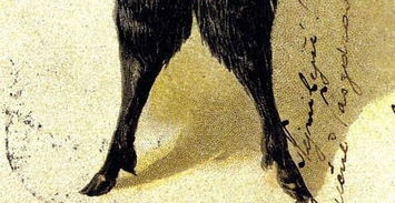 英国 魔鬼脚印 之谜,世界上真的有未知生物吗