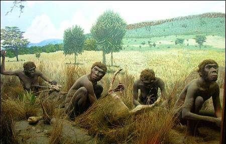 距今7万多年以前,人类曾险遭灭绝,人类的人数一度下降到2000人