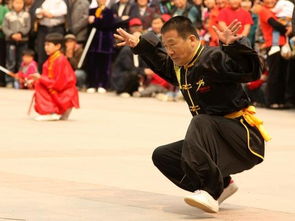 十大以动物命名的中国拳法,快来看看哪个名字最霸气 
