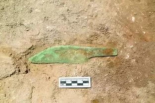 2016年考古工作者们都发现了啥 2016六大考古新发现