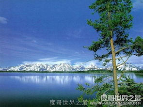 中国五大最权威的咸水湖排名(中国五大之最)