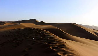 塔克拉玛干沙漠是世界上最大的流动沙漠(塔克拉玛干沙漠是中国最大的沙漠吗)