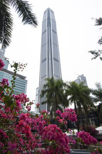 广东省深圳最高楼 平安大厦