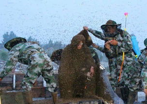 山东男子被百万蜜蜂蛰身 打破85.5公斤世界记录
