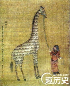 大明永乐十二年来,榜格拉的贡使来朝送来了一种奇怪的动物,前足(大明永乐十八年)