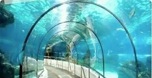 世界第一海底隧道,全长123公里,耗资约3000亿,就在中国