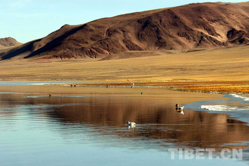 世界上最高、最大的高原湖泊群(世界上最高最大的)