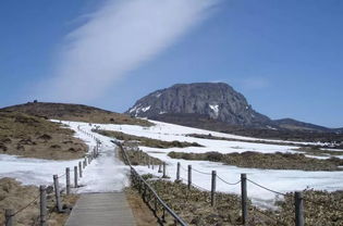 开启爱情长跑,一起去济州岛马拉松浪漫跑一回