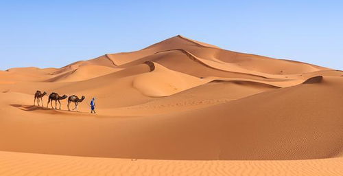 世界上最大的沙漠,面积高达906(世界上最大的沙漠淡水湖)