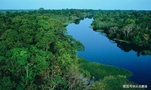 亚马逊河有多恐怖 为何没有一座桥可以跨越亚马逊河