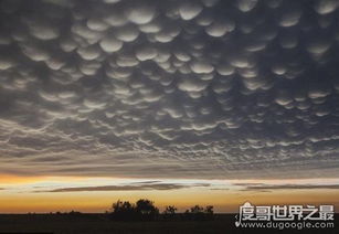 盘点地球上最神秘的自然现象,看完让你目瞪口呆 太神奇