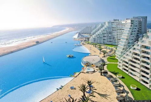 世界上最大的游泳池8万平方米 智利阿尔加罗沃(世界上最大的游泳池面积约多少?)