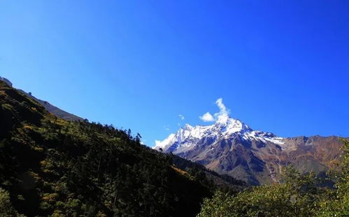 被誉为西藏的 西双版纳 墨脱,一个隐秘的莲花圣地 思鹿旅行推荐