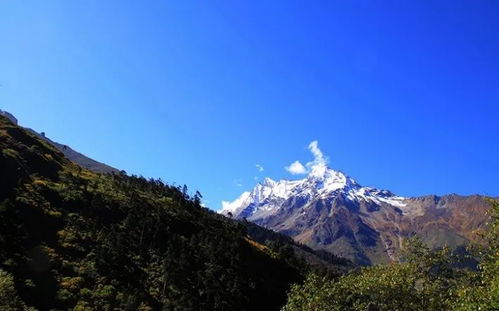 被誉为西藏的 西双版纳 墨脱,一个隐秘的莲花圣地 思鹿旅行推荐