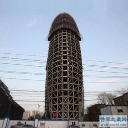 世界上最大的阴jing建筑(世界上最大的阴谋)