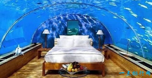 世界上最豪华的酒店,迪拜海底酒店普通单间一晚3万元