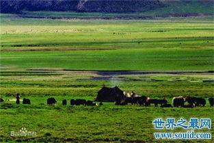 你知道世界上最大的平原在什么地方吗,竟然不在中国 