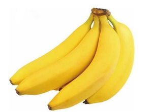 一根香蕉有2到4公斤,四个人可以吃这种大香蕉(每天一根香蕉)