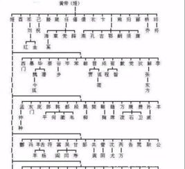 中华姓氏分支表 你的家族起源于哪位 帝王 看完你不一定相信 