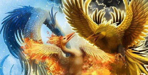 上古神话中六大神鸟的另外一种说法,金翅大鹏孔雀大明王榜上有名