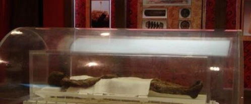 考古专家一开棺,里面的女尸让专家脸色露喜 这皮肤感觉有弹性