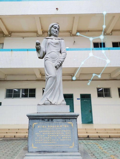图说右医 你不知道的右医版星座秘密