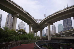 上海奇怪的龙形高架桥墩