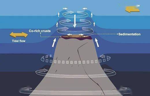 深海平顶海山反气旋帽结构特征及其地质效应获揭示