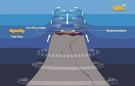 深海平顶海山反气旋帽结构特征及其地质效应获揭示