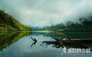 四川九龙县出现了猎塔湖水怪,很多人都目睹过这种情况怪兽,三米