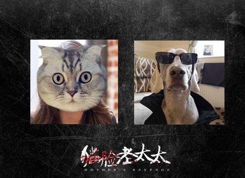 根据哈尔滨灵异事件改编,未上映就被喷,要为这部国产恐怖片正名