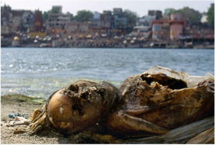 被严重污染的印度圣河 活人与浮尸共沐浴 组图