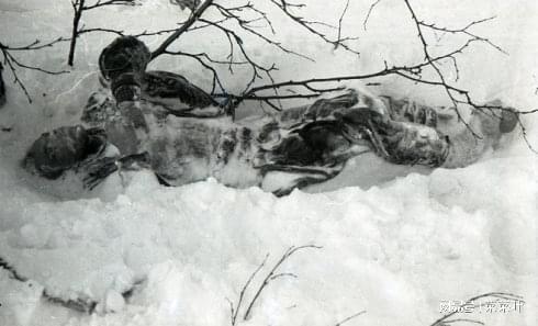 dyatlov九名死去的滑雪登山者最奇怪的是在他们的身体和衣(dyatlov切尔诺贝利)