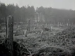 龙卷风和下击风暴是贵州气象学会风暴理论的两个基础(风暴龙卷风设计图在哪)