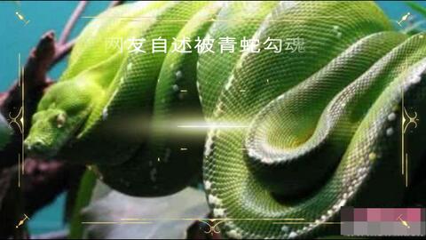 上海美兰湖青蛇勾魂灵异事件,中国闹鬼地热搜榜第九名