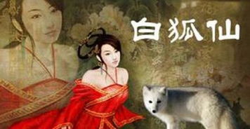 中国香港发生狐狸仙女杀人事件,震惊了整个香港
