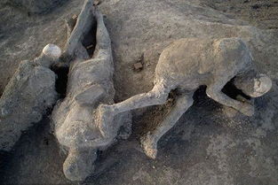 考古学家挖掘了埋在火山灰中的居民化石和遗址(挖掘十三陵的考古学家)