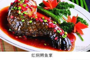 上海最好吃的红焖鳄鱼掌,上海哪里红焖鳄鱼掌最好吃,上海红焖鳄鱼掌价格 上海 订餐小秘书 