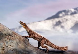 猪鳄鱼是如何灭绝的?它们的化石首次在非洲撒哈拉沙漠中发现