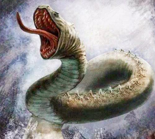 海洋蟒蛇是什么怪物?海洋巨蟒的谣言更多地来自几个世纪前流传下(梦见蟒蛇是什么梦)