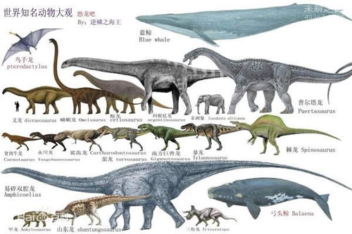 易碎双腔龙系世界上最大的恐龙 重可达220吨 