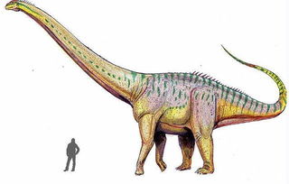 侏罗纪时代最大恐龙是最小恐龙的200万倍 