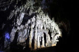 贵州惊现6000米神秘洞穴 内景蔚为壮观