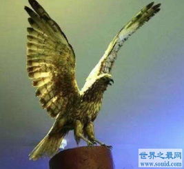史上最大的老鹰哈斯特鹰更恐怖,常常以世界第一高鸟为食 