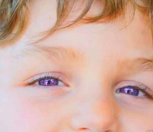 世界上最美的眼睛颜色,紫罗兰色眼睛一双价值700万