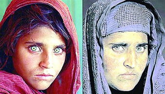国家地理 封面 阿富汗少女 涉嫌身份造假