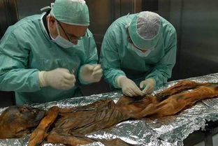 专家揭秘拥5300年历史 冰人木乃伊 死前吃烤羊 