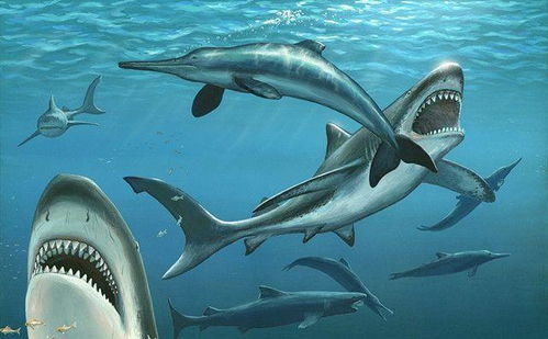 澳大利亚渔民捕获25排300颗牙齿的深海侏罗纪巨兽(渔民捞澳大利亚潜艇)